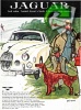 Jaguar 1958 137.jpg